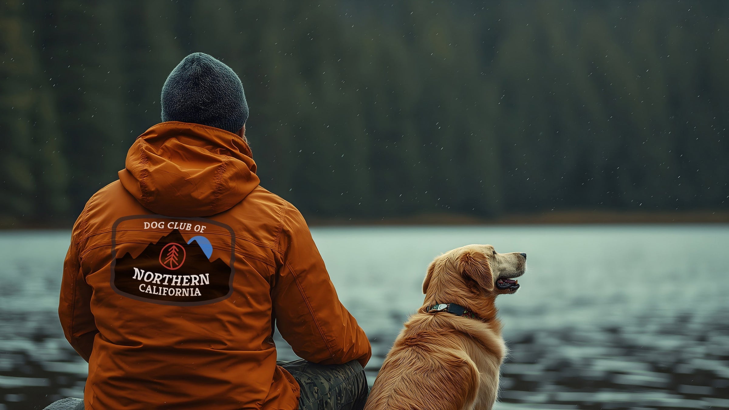 A person wearing an orange jacket withDog Club of Northern California" printed on the back sits beside a golden retriever near a calm lake. The background features a misty forest, and the scene has a peaceful, reflective atmosphere.