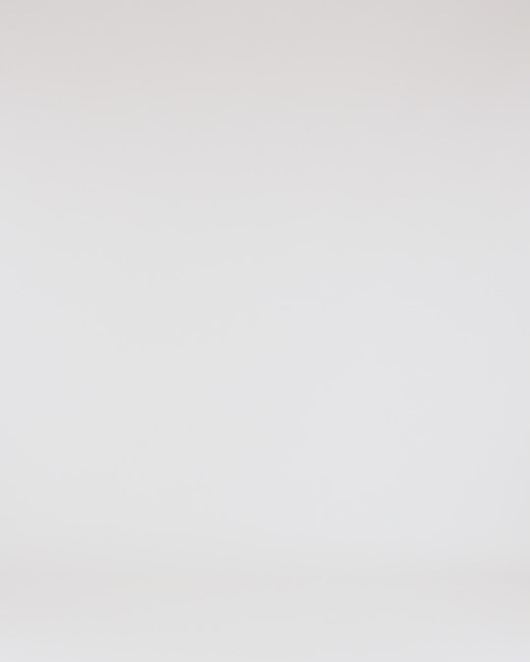 Independent Trading Co. Premium Heavy Weight Crewneck