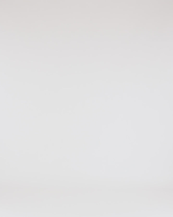 Independent Trading Co. Premium Heavy Weight Crewneck